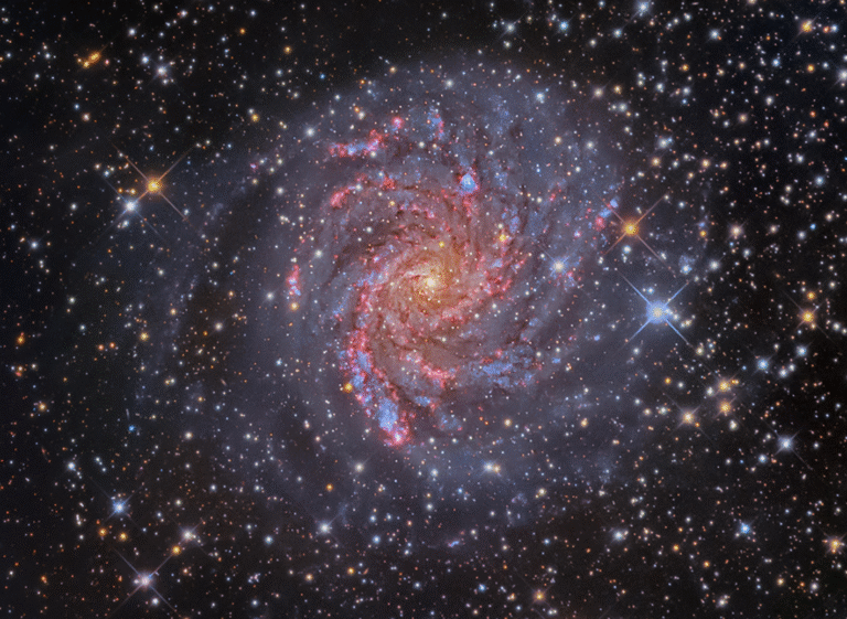 A vibrant, detailed image of the spiral galaxy NGC 6946, also known as the Fireworks Galaxy. The galaxy’s bright yellow core is surrounded by swirling spiral arms glowing with red and blue regions of star formation, all set against a dense background of stars.